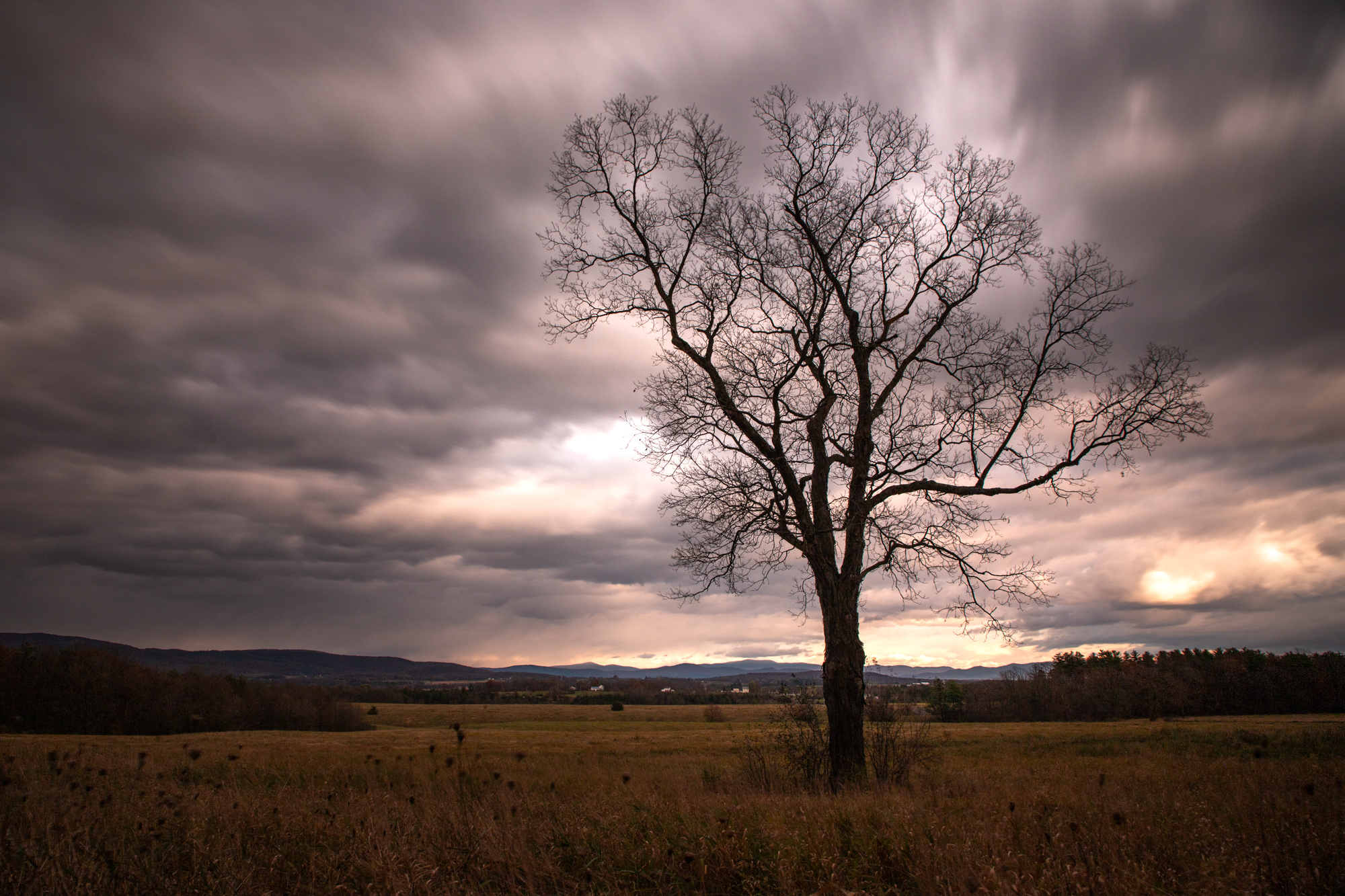 Tree Silhouetted against Dramatic Sky - Long Exposure
