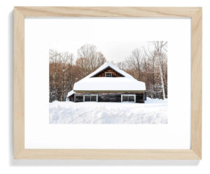 Snowed In Framed Print