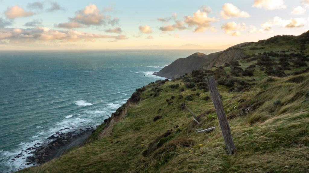 Lost-in-New-Zealand-Fence-Coastline