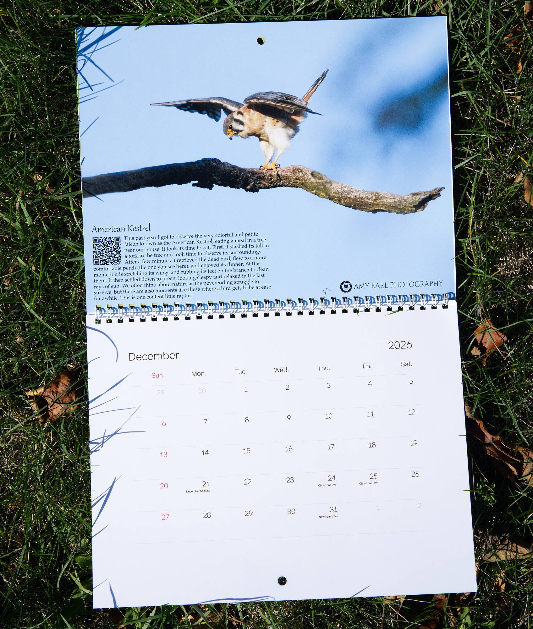 Backyard Birds Calendar 2026 - Image 2