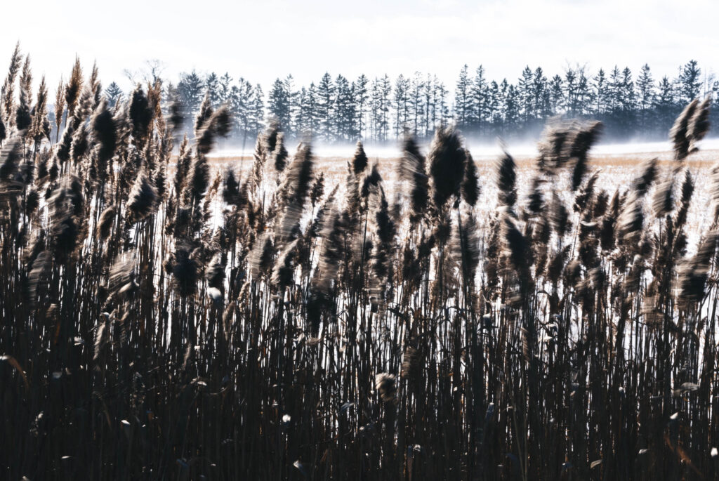 250201_0439_6078 x 4066_124 mm