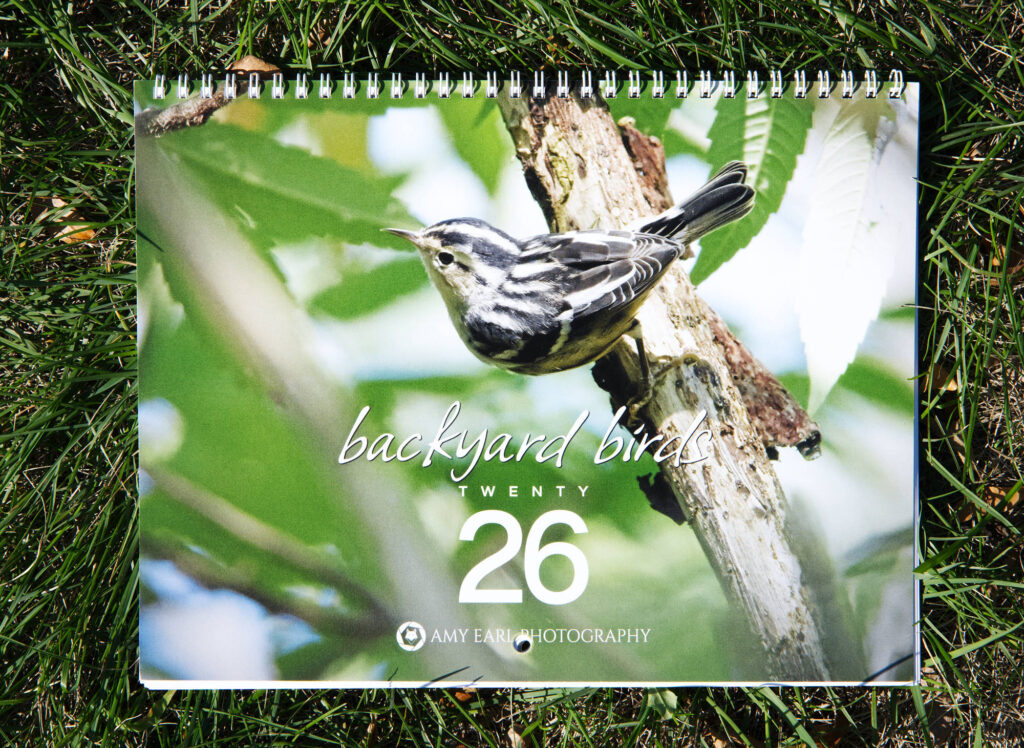 Backyard Birds Calendar 2026